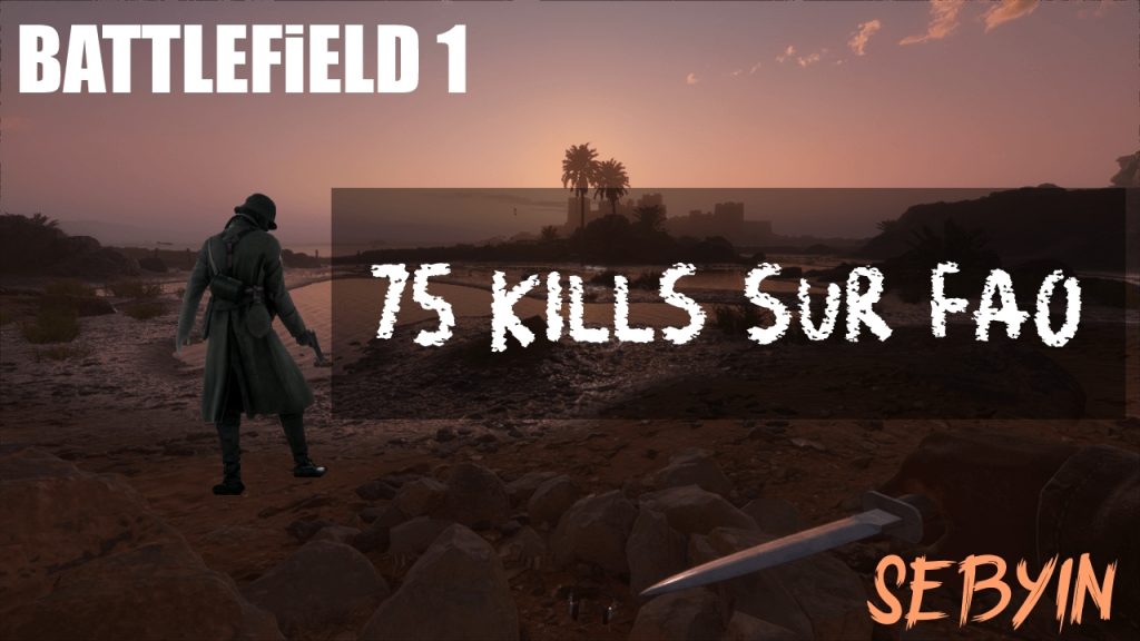 75 kills BF1 FAO